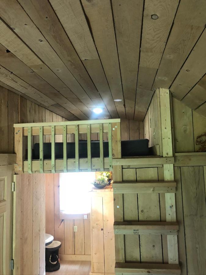 The Hideaway Tiny Cabin East Durham Экстерьер фото